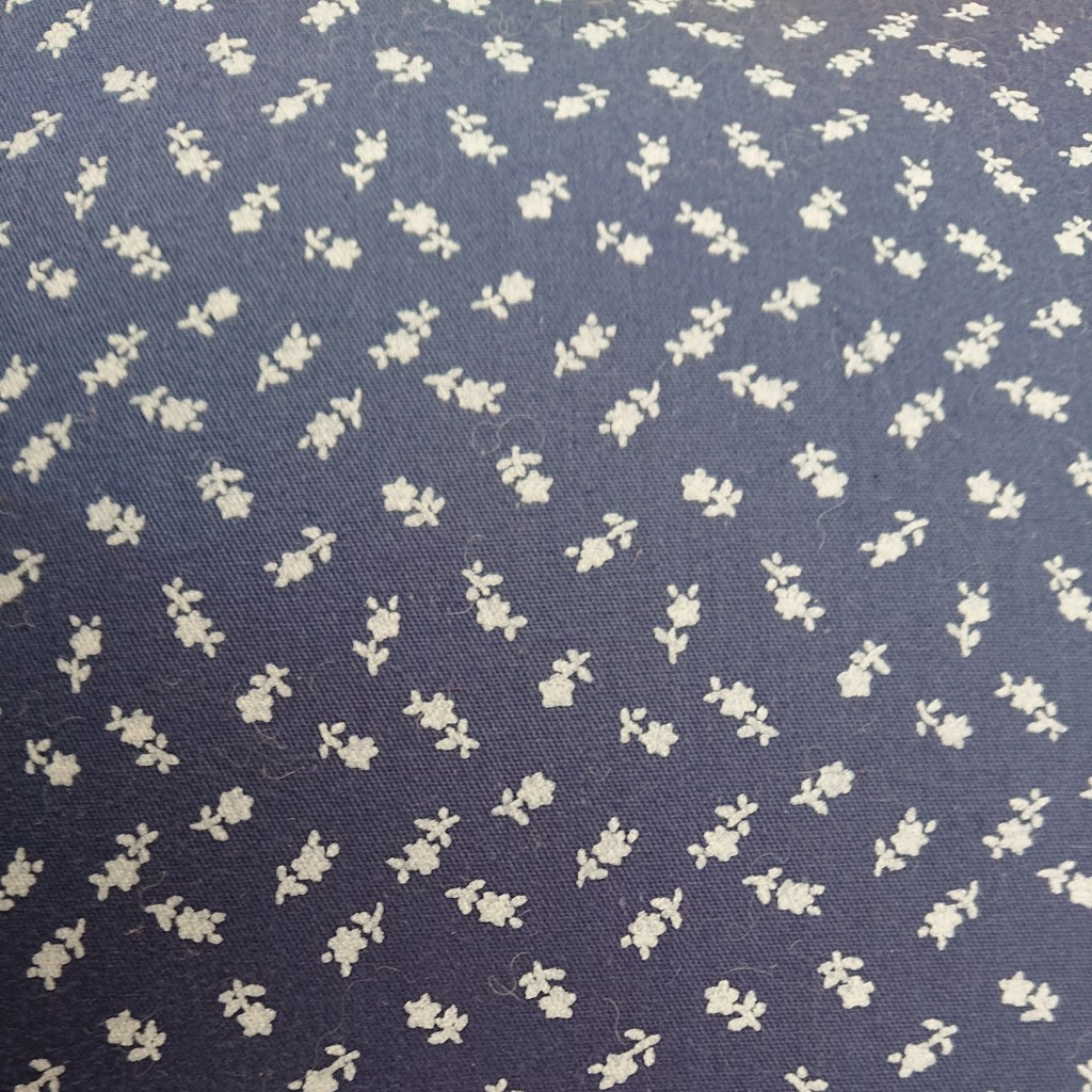 Un hibou à la&nbsp;maison